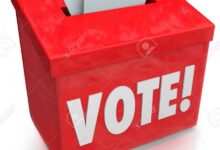 council of state election