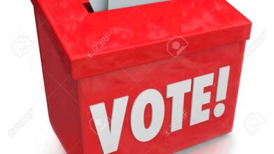 council of state election