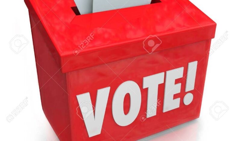 council of state election