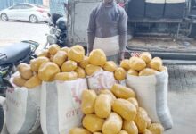 Sprinter bus driver nabbed with suspected narcotics concealed in maize