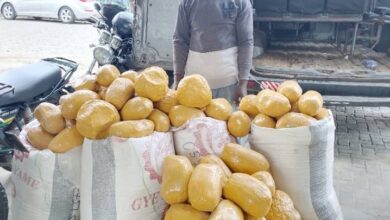 Sprinter bus driver nabbed with suspected narcotics concealed in maize