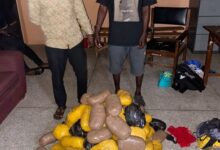 Police seize 86 parcels of suspected Indian hemp in intelligence-led bust