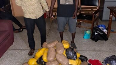 Police seize 86 parcels of suspected Indian hemp in intelligence-led bust