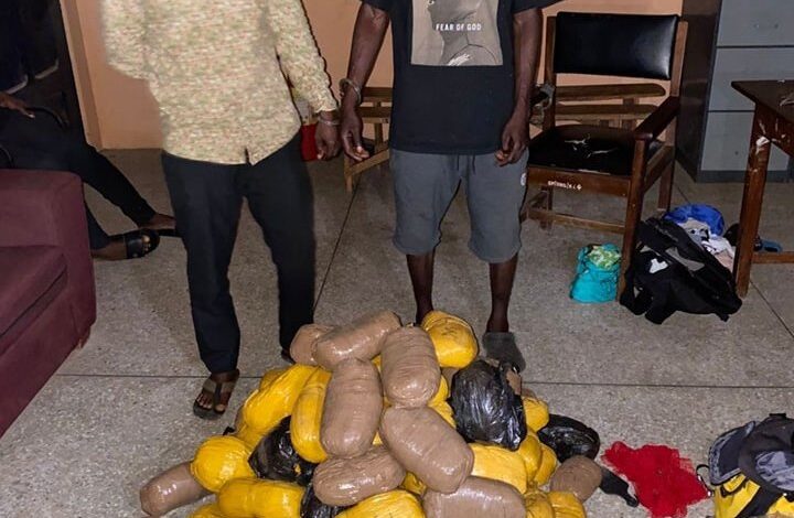 Police seize 86 parcels of suspected Indian hemp in intelligence-led bust
