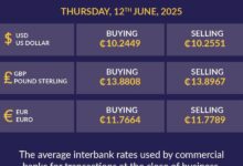 Cedi holds steady at GH¢10.24 to the dollar on July 12