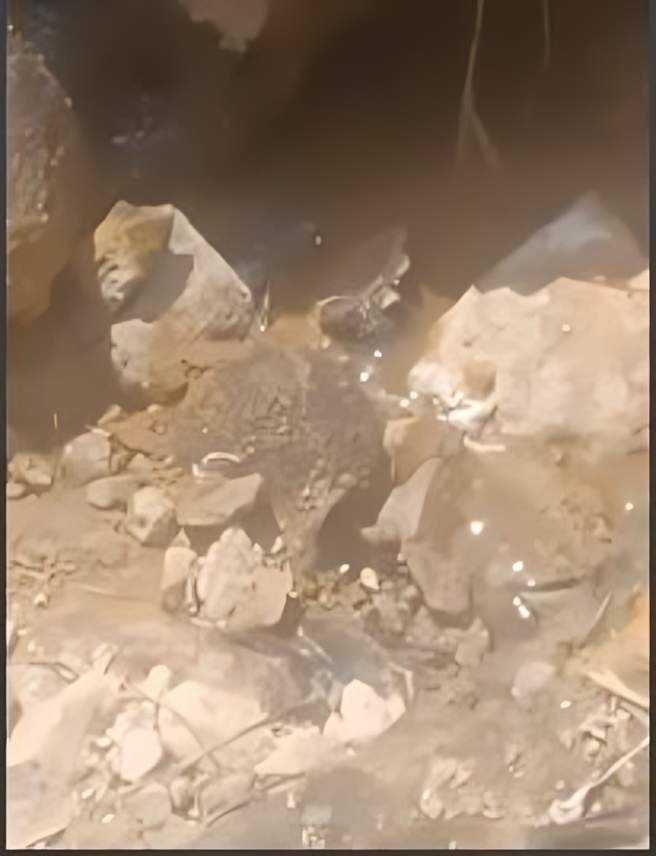 Mentally challenged man butchers stranger, attempts to hide body in gutter