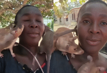 University of Ghana student tragically dies after collapsing during fun games