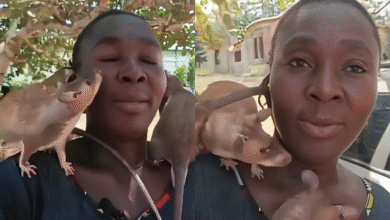 University of Ghana student tragically dies after collapsing during fun games