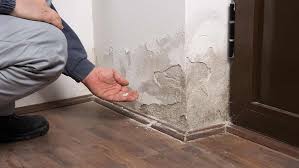 A Complete Guide to the Water Damage Restoration Process