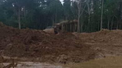 Forestry team attacked by armed thugs in Jimira forest