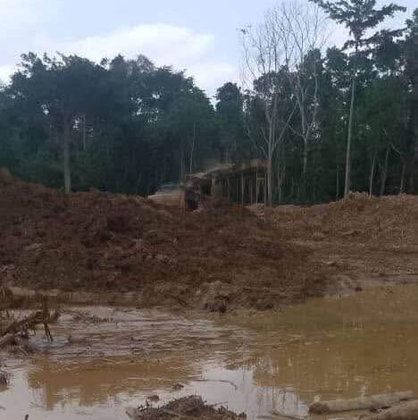 Forestry team attacked by armed thugs in Jimira forest