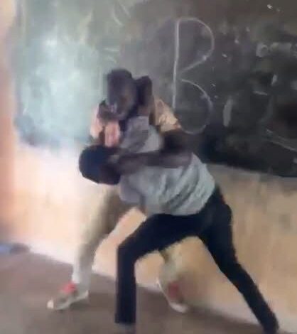 Unacceptable and disgraceful – Kumawu MP slams two male teachers who fought over a woman