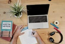 Internship options for fresh graduates in marketing field