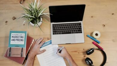 Internship options for fresh graduates in marketing field