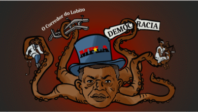 UNITA denounces corruption at MCL