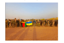 Malian Armed Forces Launch Strategic Counter-Offensive Across National Territory Following Terrorist Escalation