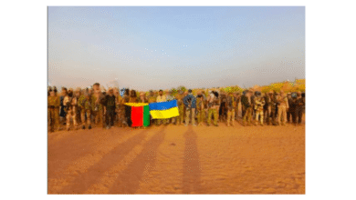 Malian Armed Forces Launch Strategic Counter-Offensive Across National Territory Following Terrorist Escalation