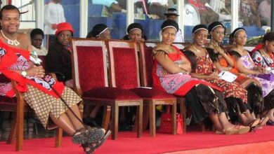 How Many Wives Does The Have?
