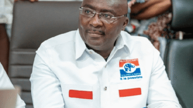 Vice President Dr Mahamudu Bawumia