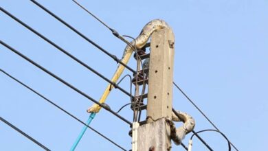 Snake triggers power outage in parts of Ashanti Region