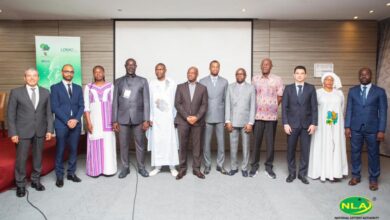 Artificial Intelligence and Cybersecurity Seminar: ALA Calls On Member Bodies to Embrace The Use of AI