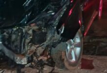 tamale accident