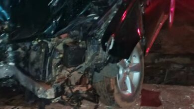 tamale accident