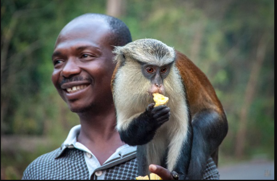 Top 10 hidden tourist sites in Ghana you probably didn't know existed