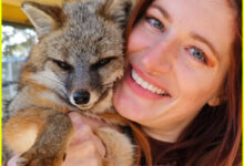 YouTuber Mikayla Raines dies by suicide at 29