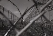 5 Nigerians jailed