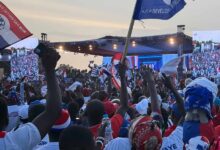 NPP’s 2024 loss isn’t the end – Party Executive optimistic it will regain power