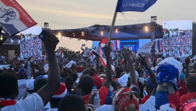 NPP’s 2024 loss isn’t the end – Party Executive optimistic it will regain power