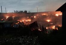 tema fires