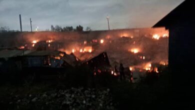 tema fires