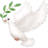🕊️