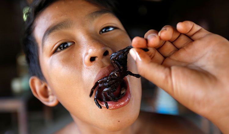 Deadliest delicacies: 10 deadly animals that people actually eat around the world