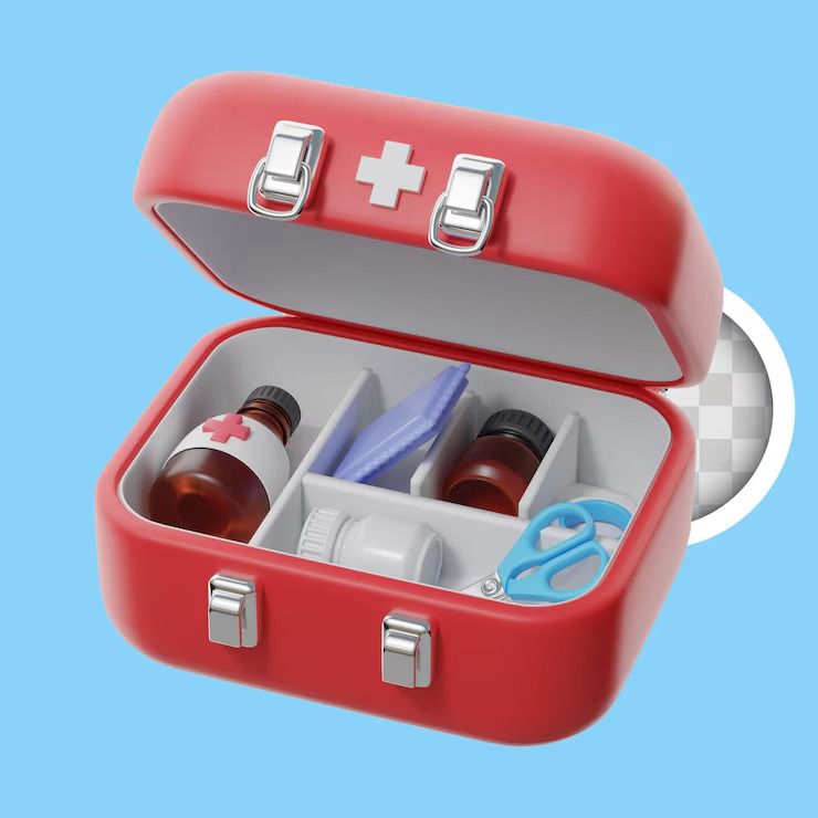 Travelling solo? Here are 10 security items that should be in your bag