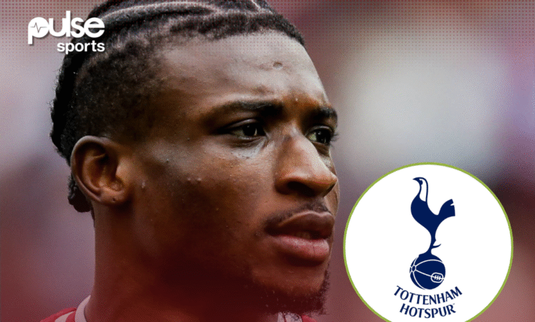 Tottenham agree deal to sign Ghana’s Mohammed Kudus from West Ham