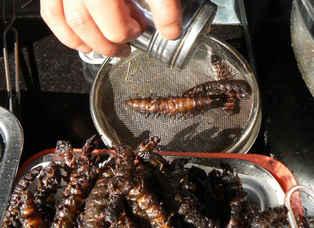 Deadliest delicacies: 10 deadly animals that people actually eat around the world