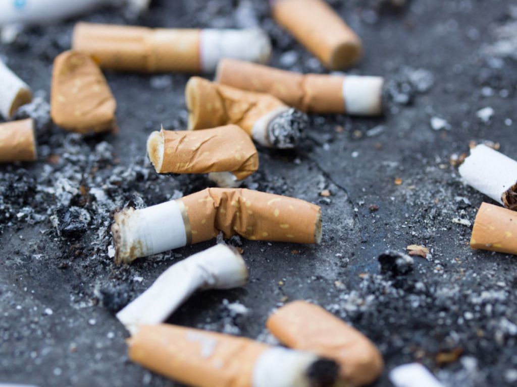 Unmasking the Tobacco Industry Appeal: Exposing the Kweku Ananse of the 21st century (Opinion)
