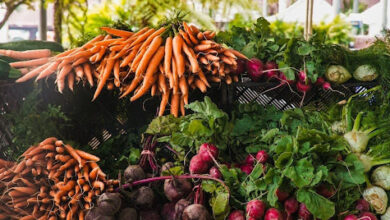 Exploring Innovative Nutrition for a Healthier Ghana: Latest Market Trends and Products