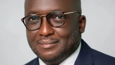 Mahama Retains Akufo-Addo’s GIIF CEO After Retaining NPP CEOs at Minerals C’ssion, GACL, FDA, Others
