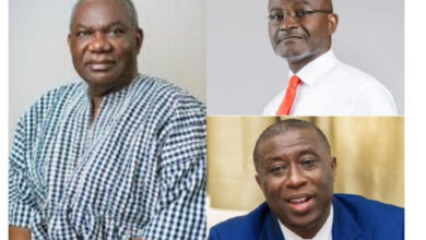 NPP bigwigs condemn top-down flagbearer election ‘plot’