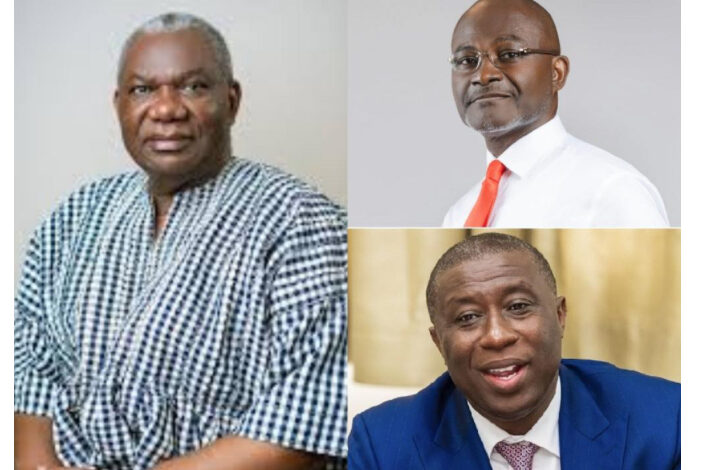 NPP bigwigs condemn top-down flagbearer election ‘plot’
