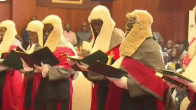 Serve as stewards of justice, not just law – Mahama to new Justices