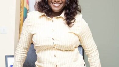 She deserves her appointment – Free Zones CEO reveals how Bawumia's former Aide helped NDC win power