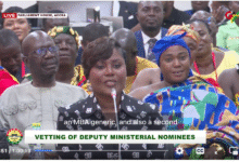 Playback: Parliament vets Dep. Transport Minister