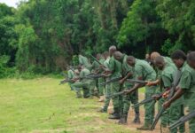 Missing Forestry guard found dead in Oti Region