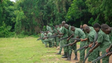 Missing Forestry guard found dead in Oti Region
