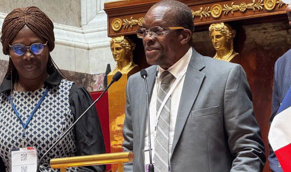 We don’t take our francophone membership lightly – Bagbin